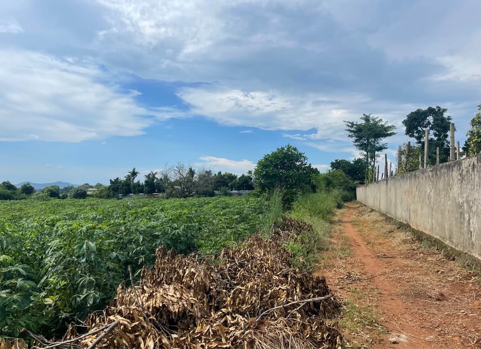 Đất nền 8200m² đường 19/5 Buôn Ma Thuột - Giá chỉ 4.51 tỷ VND, bớt lộc cho khách thiện chí!