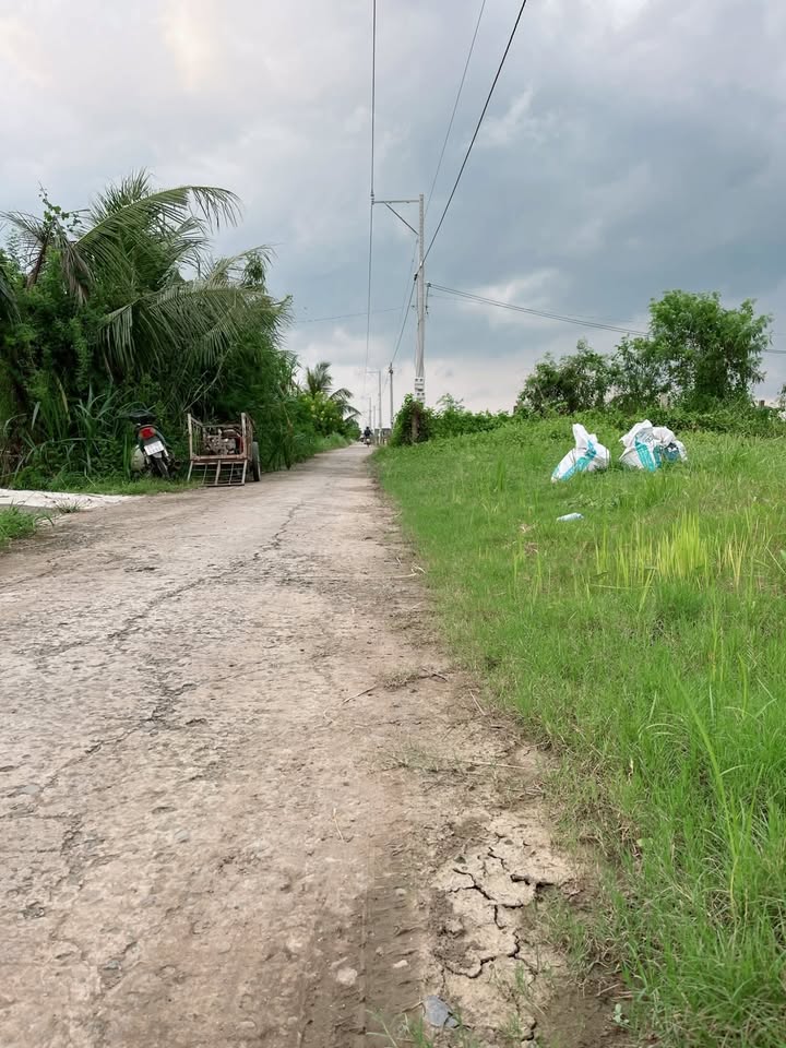 Đất thổ cư Tân Điền 182m² giá 280 triệu - Đường xe hơi tới nơi!