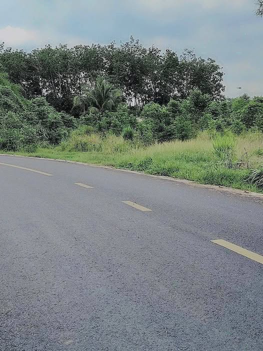 Đất nền Củ Chi 4200m² giá 20 tỷ - Đầu tư sinh lời lâu dài!