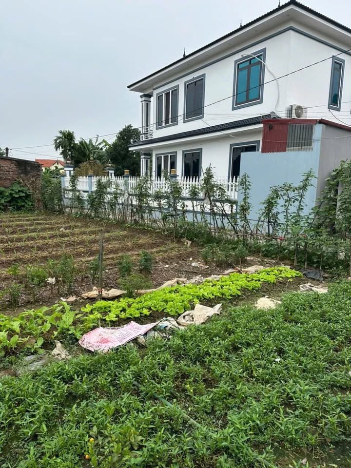 Đất Lô Góc 2 Mặt Tiền Ninh Hải 96m² giá 800 triệu - Cơ hội đầu tư tuyệt vời!