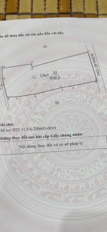 Đất nền Kim Tân, Kim Thành 600m² giá 2.4 tỷ - Tiềm năng sinh lời cao!