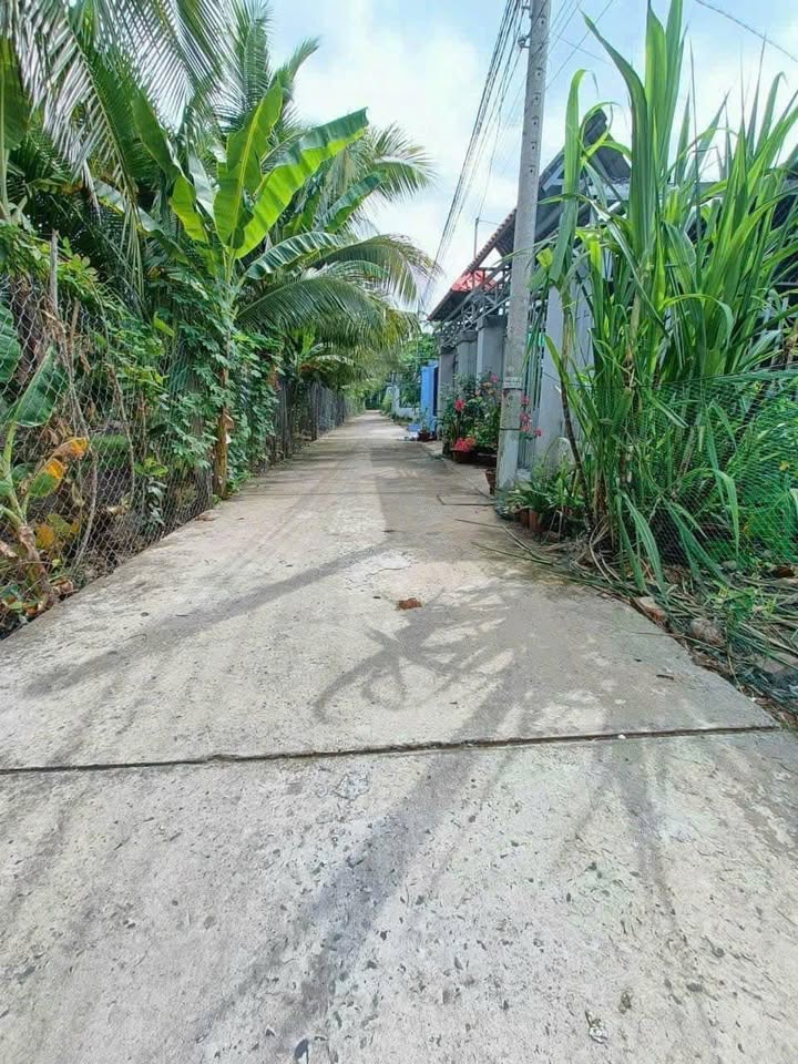 Đất chính chủ Đạo Thạnh, Mỹ Tho 140m² giá chỉ 900 triệu - Đầu tư sinh lời ngay hôm nay!