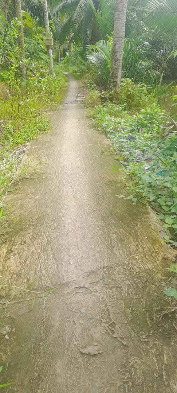 Đất vườn dừa 30,000m² tại KP3 Giồng Trôm - Giá chỉ 900 triệu - Cơ hội đầu tư tuyệt vời!