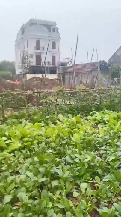 Đất nền Nghĩa Bình, Nghĩa Hưng 216m² chỉ 60 triệu - Cơ hội đầu tư tuyệt vời!