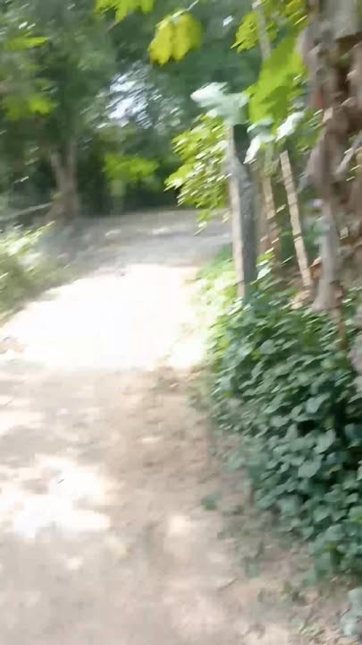 Đất nền thổ cư Bình Hiệp, Tây Sơn 160m² - Giá chỉ 1 tỷ, sẵn sàng giao dịch!