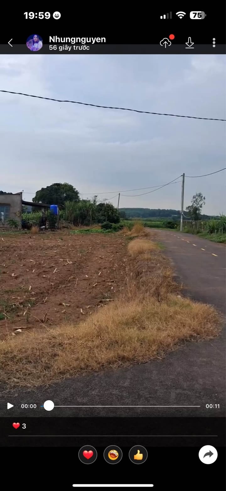 Đất nền Láng Dài Đất Đỏ 1.4 sào giá chỉ 695 triệu - Cơ hội đầu tư tuyệt vời!