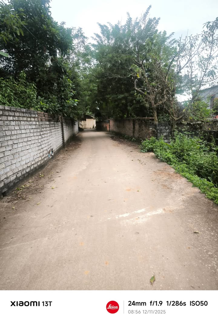 Đất nền Đồng Việt Yên Dũng 90.7m² giá 850 triệu - Vị trí đẹp, pháp lý rõ ràng!