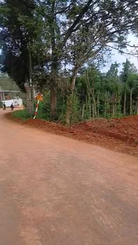 Đất mặt đường Trạm Y tế Đức Mạnh Đắk Mil 320m² giá 1.28 tỷ - Đầu tư sinh lời!