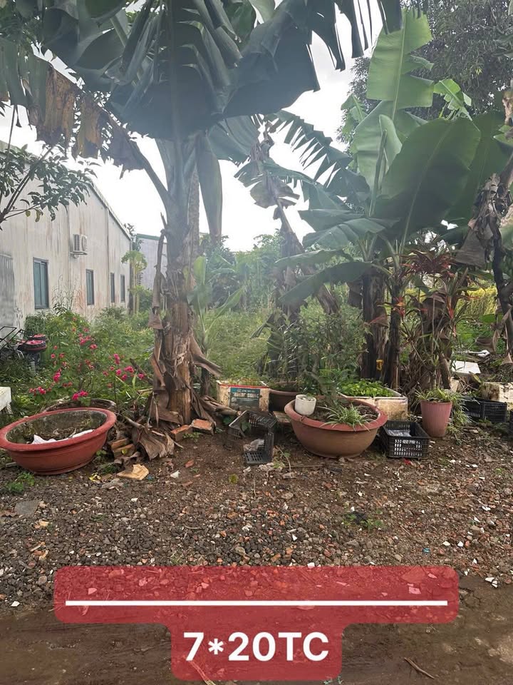 Đất thổ cư hẻm 200 Y Wang, Ea Kao, 140m² giá 1.75 tỷ - Pháp lý rõ ràng