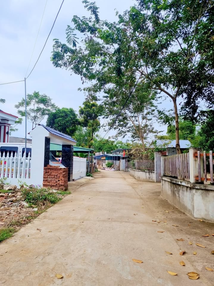 Đất thổ cư 110m² tại phường Trung Tâm, Nghĩa Lộ - Giá thỏa thuận hấp dẫn!