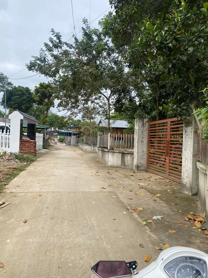 Đất thổ cư Nghĩa Lộ 110m² giá 500 triệu - Vị trí trung tâm thuận lợi!