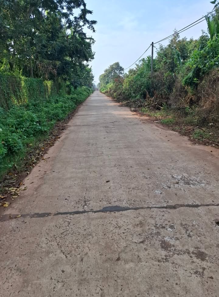 Đất nền liền kề Ea Yông 288m² giá 840 triệu - Đầu tư sinh lời ngay!