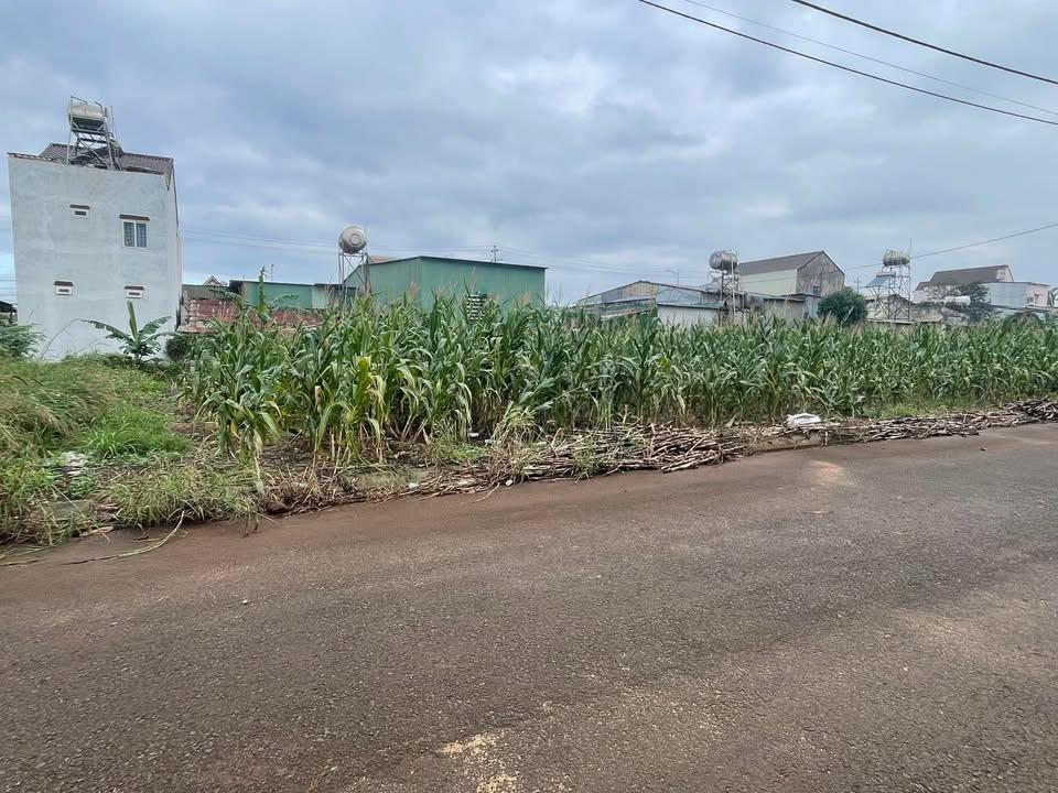 Đất nền Quảng Phú 160m² giá 2.6 tỷ - Sổ đỏ chính chủ gần hoa viên!