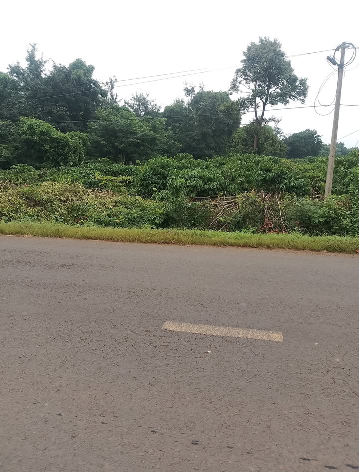 Đất nền mặt tiền tỉnh lộ 5, xã Ea Nuôl, Đắk Lắk 500m² - Cơ hội đầu tư hấp dẫn!