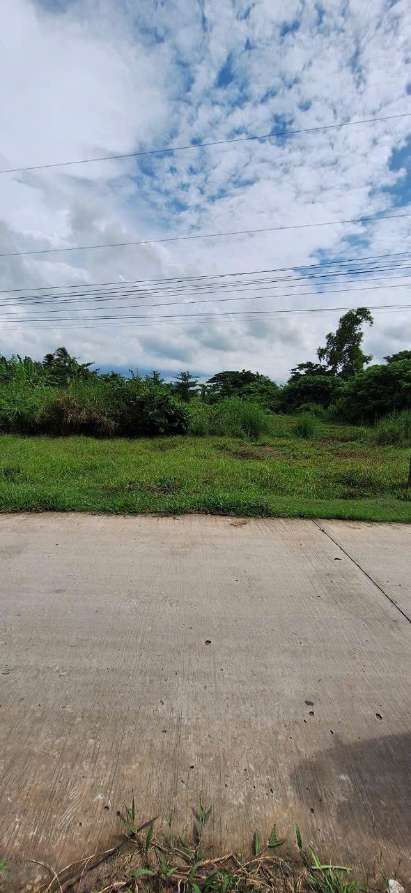 Đất nền ấp Giồng Chùa B, Sóc Trăng 4200m² giá 6.5 tỷ - Lộ ô tô, thổ cư 300m²