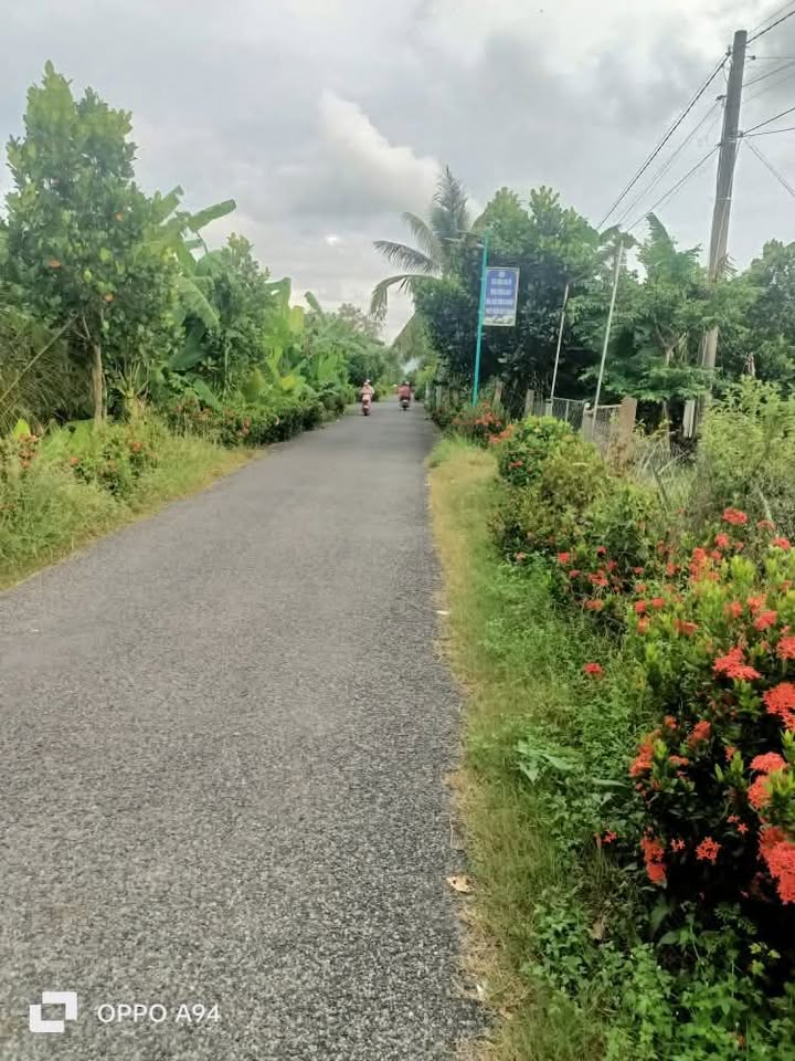 Đất nền 12,5 công mặt tiền 30m tại Trường Xuân, Đồng Tháp - Giá chỉ 2.25 tỷ