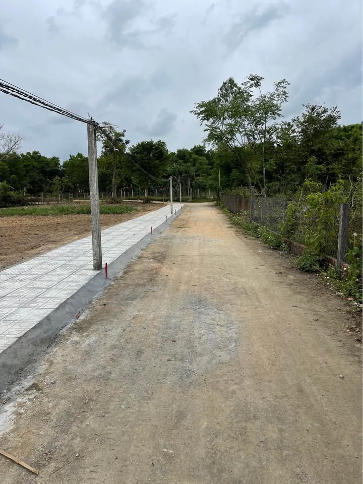 Đất ở Tam Thái, Phú Ninh 137m² giá chỉ 500 triệu - Cơ hội đầu tư tuyệt vời!