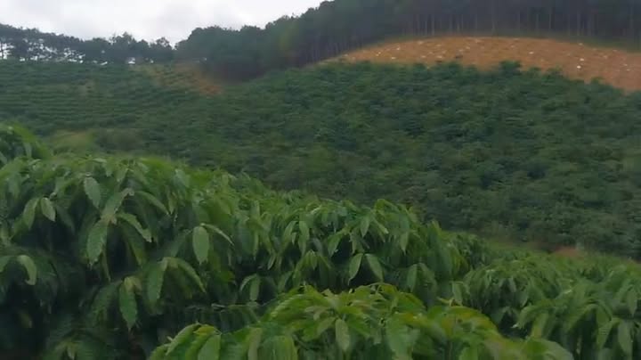 Đất nền Đà Loan, Đức Trọng 20.000m² giá 4.7 tỷ - Cơ hội đầu tư hiếm có!