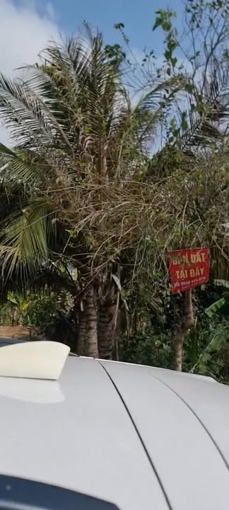 Đất mặt đường tỉnh 842, An Bình B, Hồng Ngự 195m² giá chỉ 590 triệu - Cơ hội đầu tư tuyệt vời!