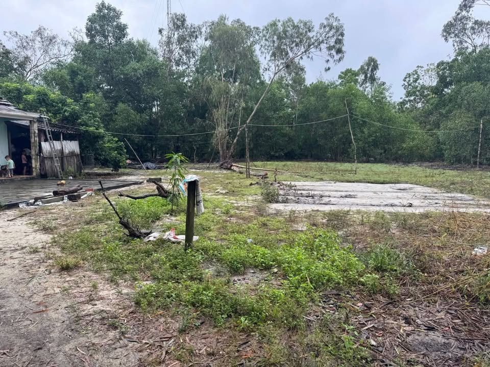 Đất vườn Tam Thăng 450m² - Vị trí cao ráo, giá thỏa thuận!