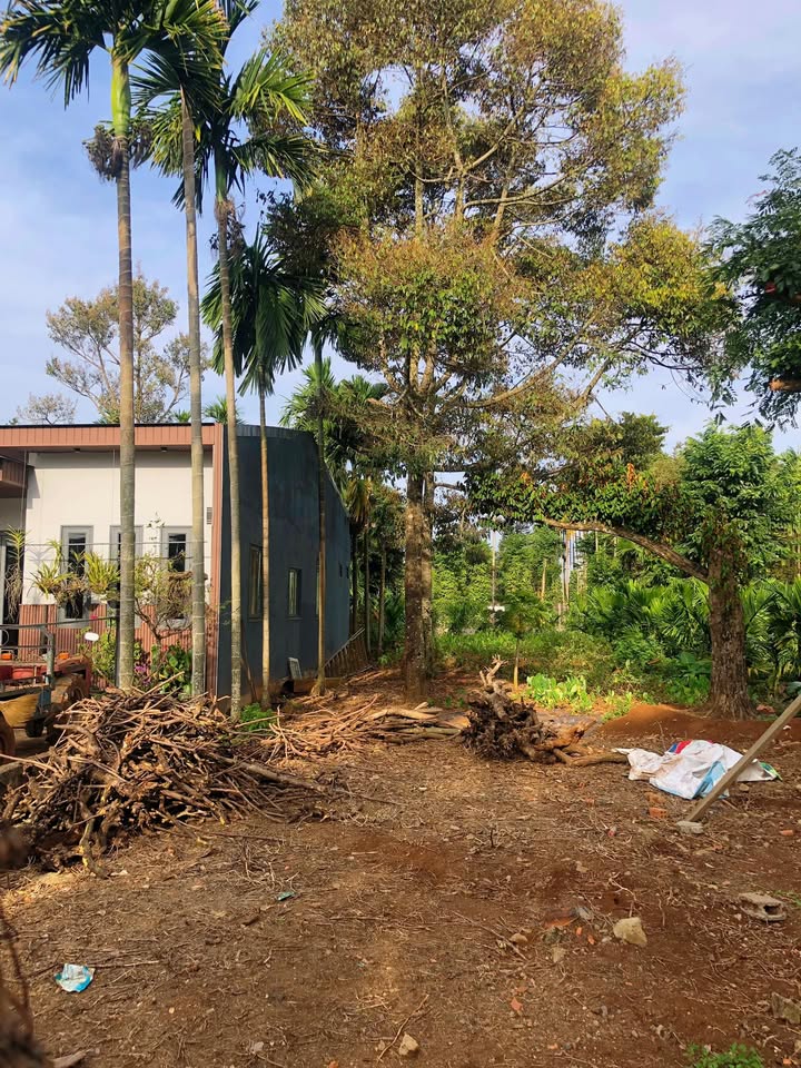 Đất nền xã Ea Ktur, huyện Cư Kuin 470m² giá 9.02 tỷ - Vị trí thuận lợi gần Quốc lộ 27!