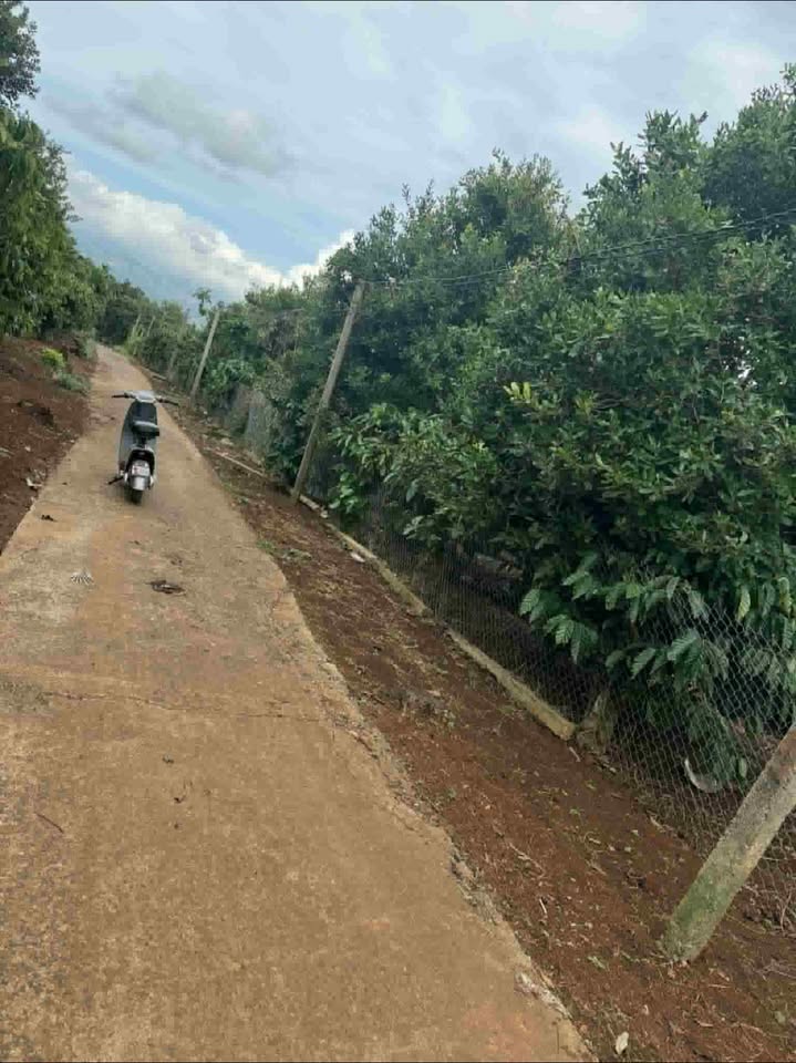 Đất thổ cư 350m² tại Ea Tóh, Krông Năng - Giá chỉ 3.325 tỷ, thương lượng nhẹ!