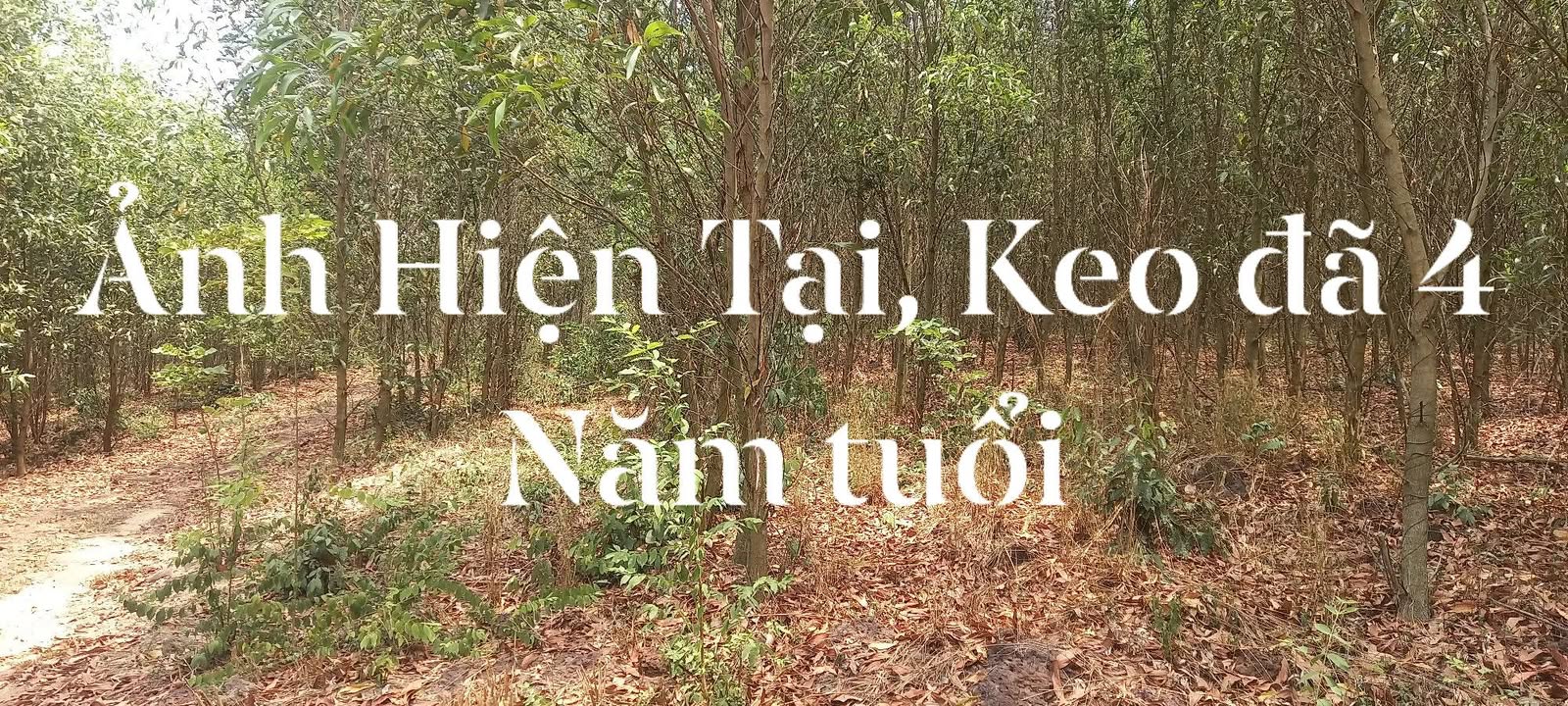 Đất Farm 5ha Lạc An, Bình Dương giá 17.9 tỷ - Đầu tư sinh lời ngay!