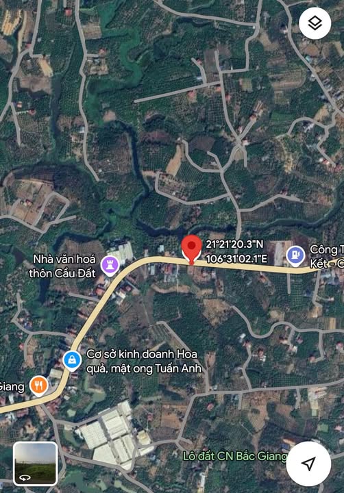 Đất mặt tiền Quốc lộ 31, Phượng Sơn, Bắc Ninh 1250m² - Tiềm năng đầu tư cao!