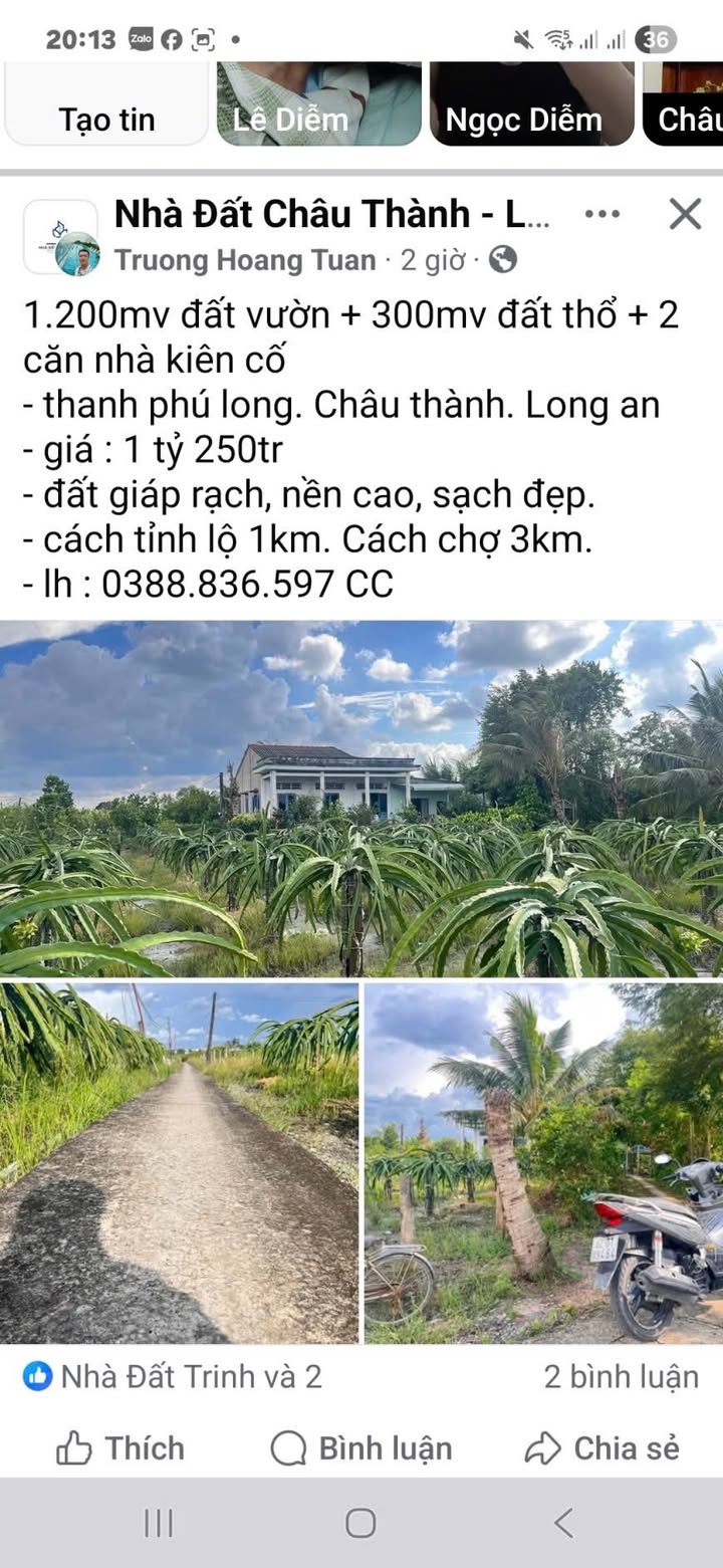Đất vườn 1.500m² tại Thanh Phú Long, Châu Thành - Giá chỉ 1.25 tỷ!