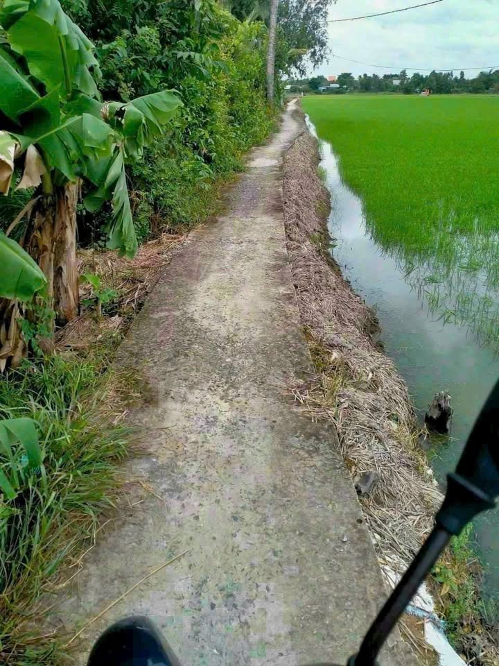 Đất thổ cư An Hòa, Thủ Thừa, Long An 174m² giá 350 triệu - Nền cao, vị trí thuận lợi!