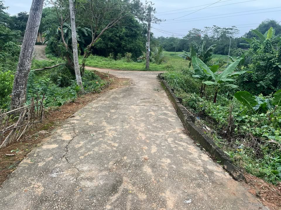 Đất nền Vân Phú Việt Trì 200m² giá 2 tỷ - Cơ hội đầu tư hấp dẫn!