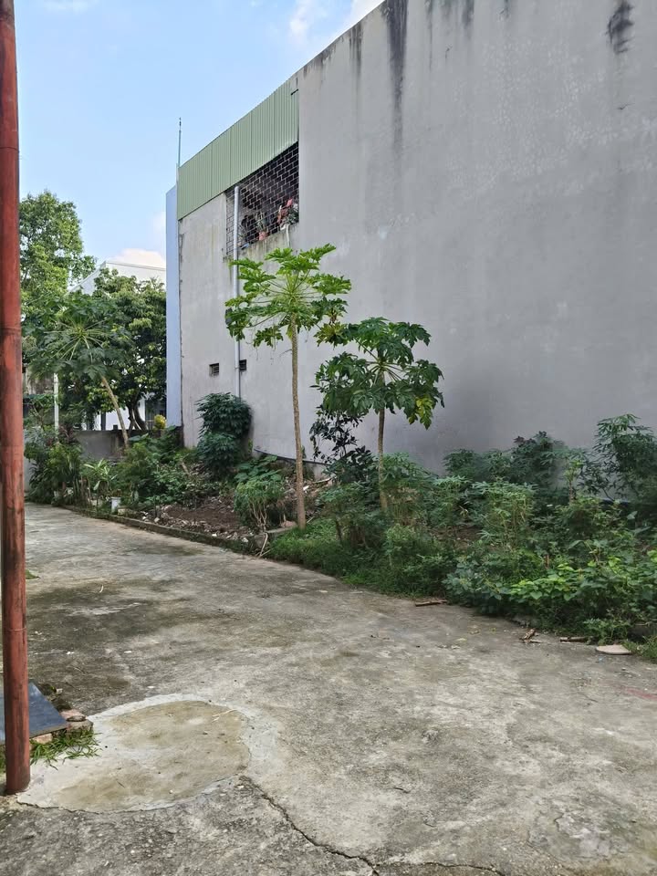 Đất nền Khu 4A, Vân Phú, Việt Trì, Phú Thọ 70m² - 1 tỷ, 2 mặt tiền đẹp!