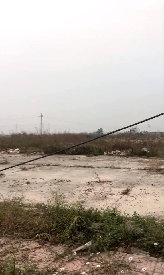 Đất nền Thanh Cao, Thanh Oai 35000m² giá 8 triệu/m² - Cơ hội đầu tư lý tưởng!