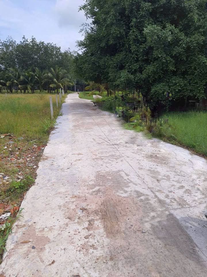 Đất nền Hiệp Thạnh Gò Dầu 204m² giá 500 triệu - Đầu tư lý tưởng!