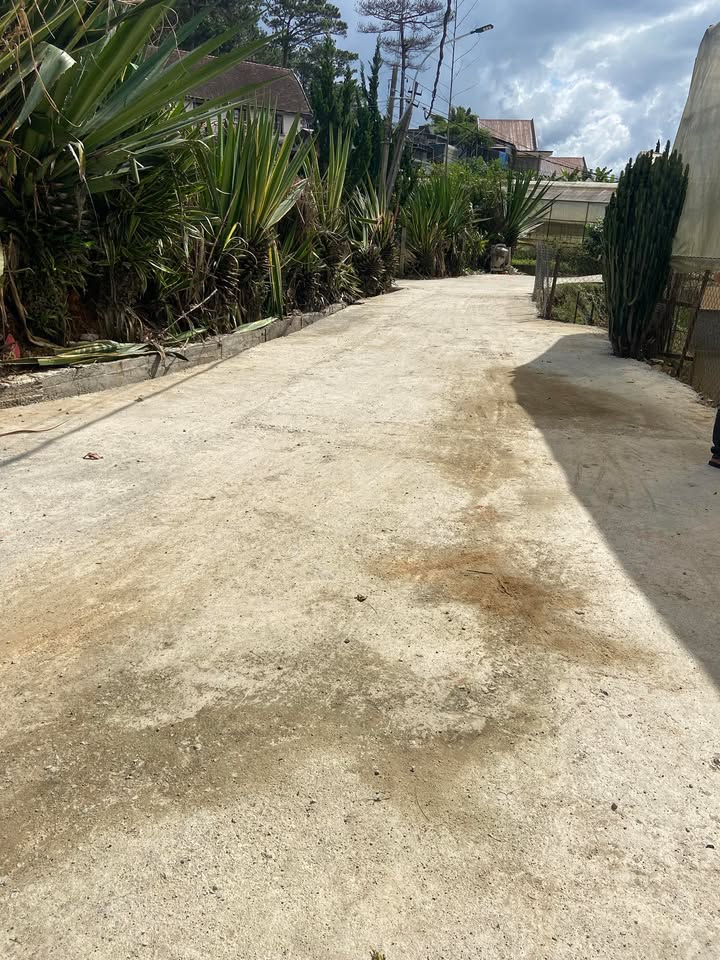 Đất nền mặt tiền đường Ngô Văn Sỡ, phường Lâm Viên, Đà Lạt, 78m² - Giá chỉ 2.2 tỷ!