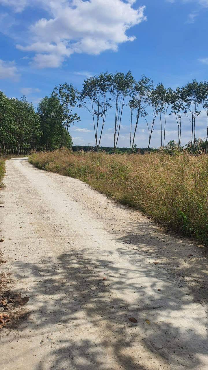 Đất Suối Cao Xuân Lộc 360m² giá 300 triệu - Cơ hội đầu tư tuyệt vời!