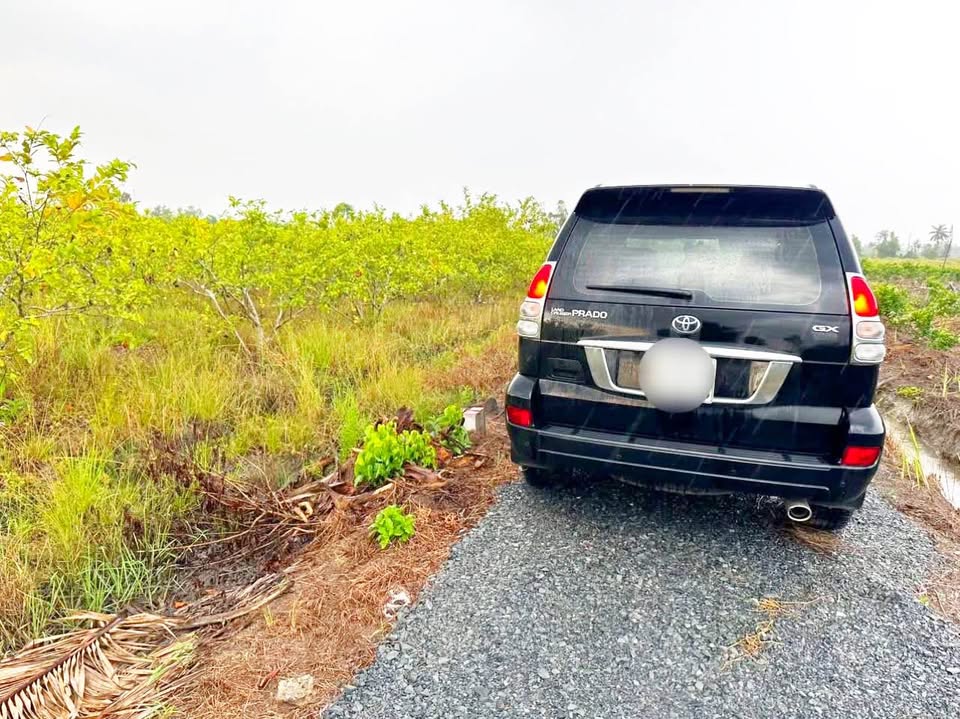 Đất vườn 1500m² xã Bình Đức, Bến Lức, Long An - Sổ hồng riêng, giá chỉ 2.4 tỷ!