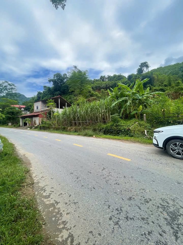 Đất kinh doanh tại xã Lai Đồng, huyện Tân Sơn, Phú Thọ 198m² giá 500 triệu - Cơ hội đầu tư sinh lời!