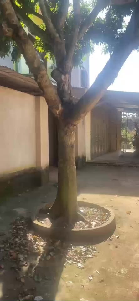 Đất nền Xương Lâm 200m² giá 1 tỷ - Kinh doanh thuận lợi!