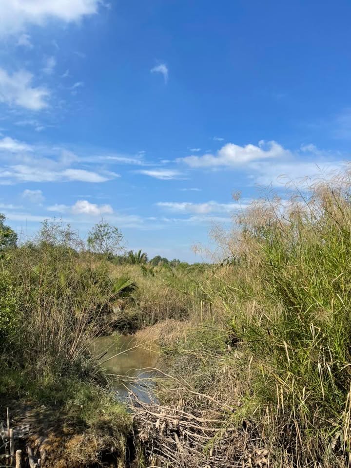 Đất nông nghiệp Phước Lộc, Nhà Bè 2.198m² giá 14.287 tỷ - Tiềm năng đầu tư sinh lời cao!