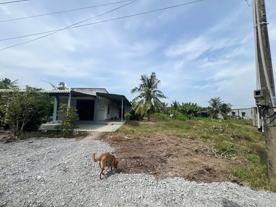 Đất nền Phước Bình 210m² giá thương lượng - Cơ hội đầu tư hấp dẫn!