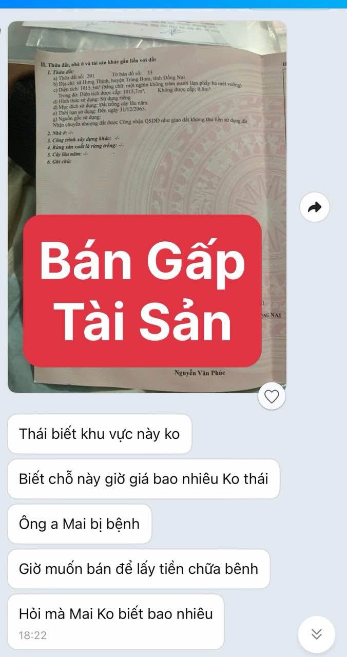 Đất nền Long Thành 1015m² giá tốt - Sổ đỏ chính chủ, vị trí đắc địa!