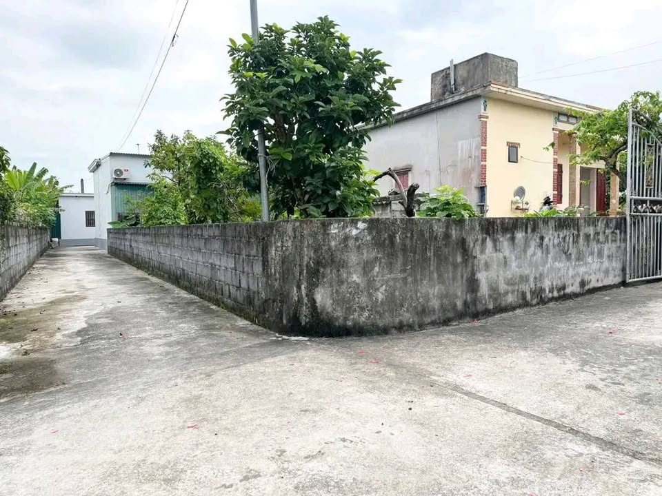 Đất nền Đông Long Tiền Hải 110.8m² giá 700 triệu - Vị trí đẹp, giao thông thuận lợi!