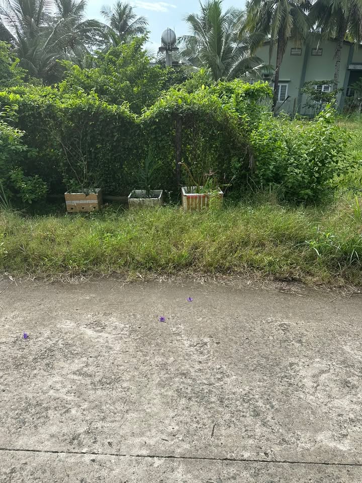 Đất nền mặt tiền đường bê tông khu phố Thanh Sơn, Tây Ninh 110m² - Giá chỉ 1.21 tỷ!