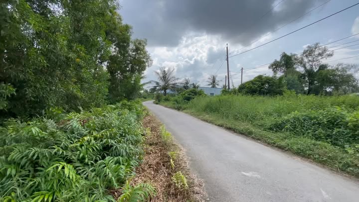 Đất nền Ấp 12, xã Phong Thạnh Tây B, 687m² - Giá thỏa thuận hấp dẫn!