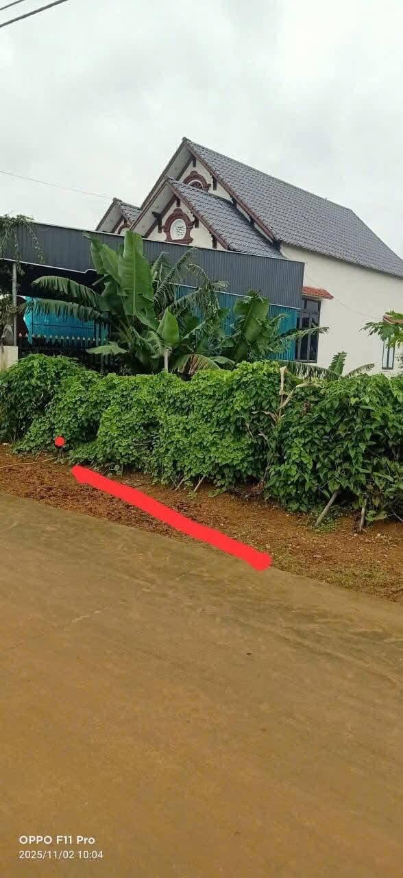 Đất thổ cư chính chủ tại thôn Bàn Lai, xã Sao Vàng, Thanh Hóa - Giá chỉ 1 tỷ!