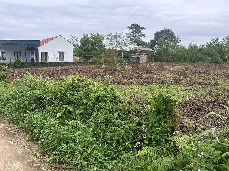 Đất nền Triệu Thành, Triệu Sơn 500m² giá 700 triệu - Đầu tư thông minh cho tương lai!