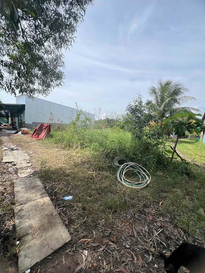 Đất nền Rạch Giá 100m² giá 395 triệu - Đầu tư sinh lời ngay!