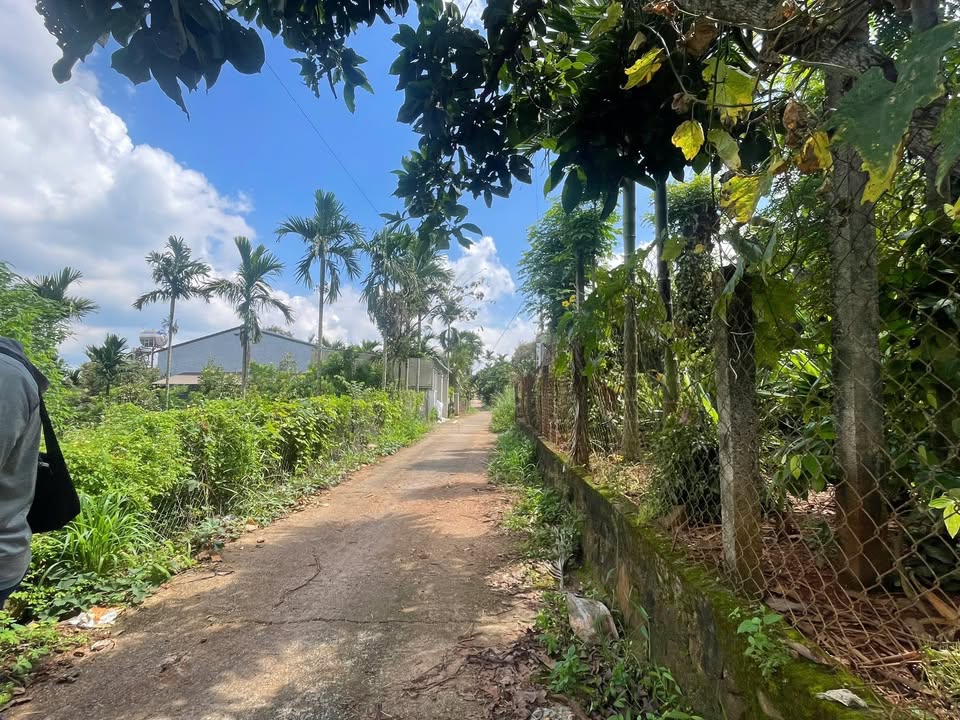 Đất thổ cư 120m² tại Ea Tiêu, Cư Kuin chỉ 480 triệu - Đầu tư sinh lời ngay!