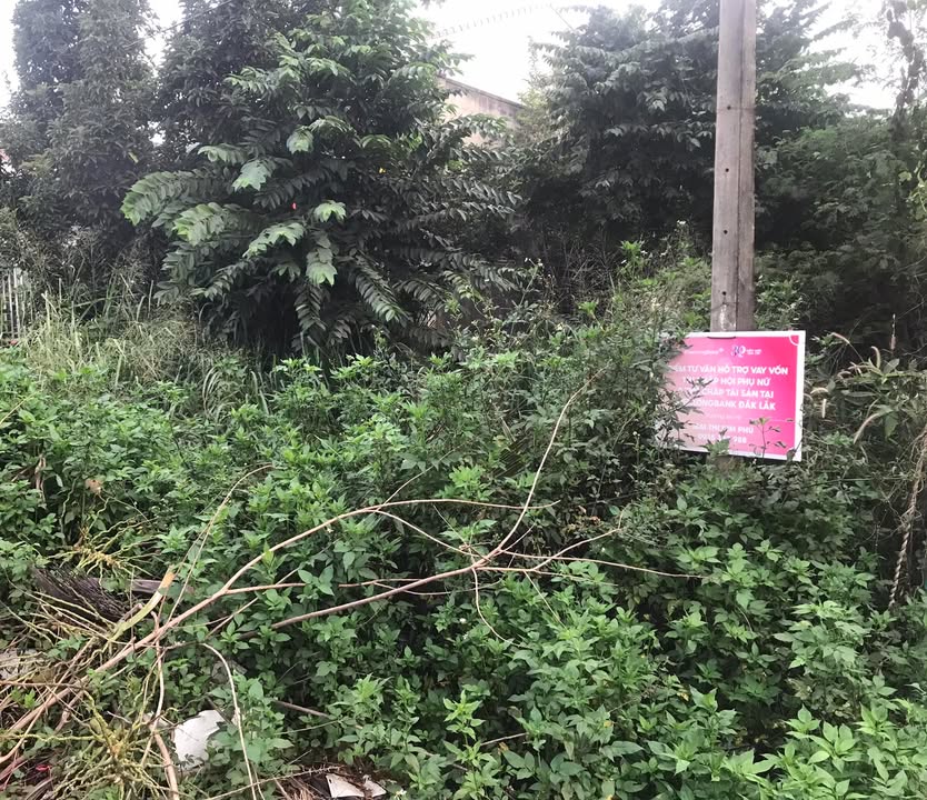 Đất thổ cư 1.300m² mặt tiền Nguyễn Thị Định, Thành Nhất - Giá chỉ 3.2 tỷ!